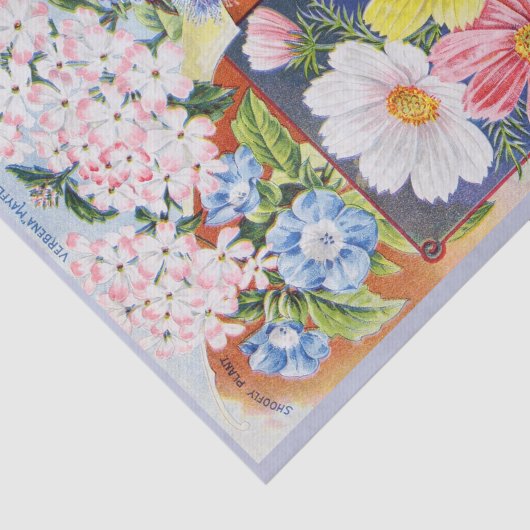 旧式な夏の花の種カタログのティッシュペーパー 薄葉紙 (詳細)
