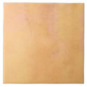 旧式な洗浄タイル タイル (正面)