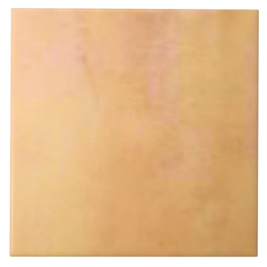 旧式な洗浄タイル タイル (正面)