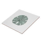 旧式な海の砂ドルのイラストレーション タイル (側面)