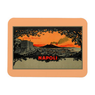 旧式な色のlithoのホテルブリストルナポリNapoli マグネット