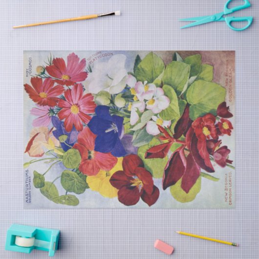 旧式な花の種カタログのティッシュペーパー17x23 薄葉紙 (クラフト)