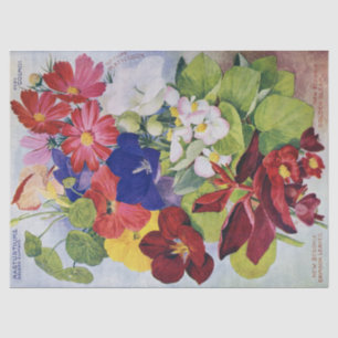 旧式な花の種カタログのティッシュペーパー17x23 薄葉紙