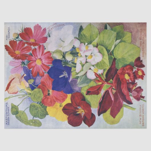 旧式な花の種カタログのティッシュペーパー17x23 薄葉紙 (正面)