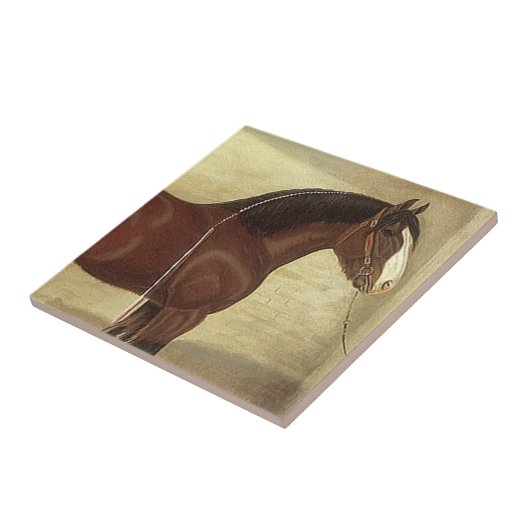 旧式な芸術湾のClydesdaleのばん馬のタイルTrivet タイル (側面)