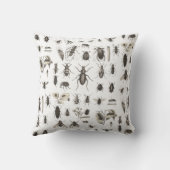 旧式な虫および昆虫の昆虫学 クッション (裏面)