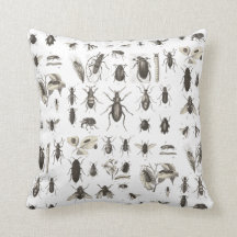 旧式な虫および昆虫の昆虫学