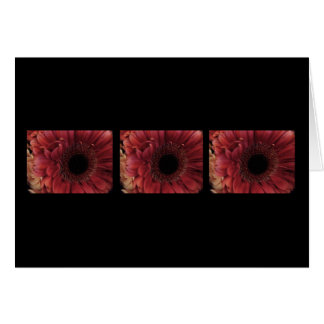 旧式な赤(トリオ)