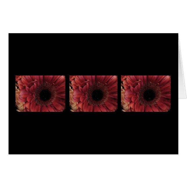 旧式な赤(トリオ) (正面横)