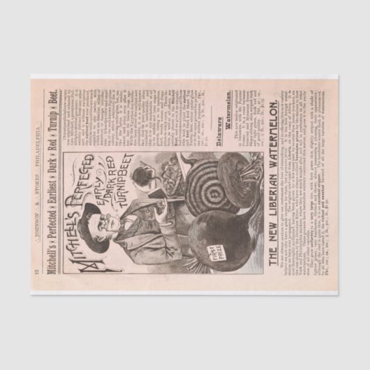 旧式な農場カタログのビートおよびスイカの紙 薄葉紙 (正面)