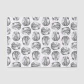 旧式な頭脳の図表のイラストレーションのヴィンテージ 薄葉紙 (正面)