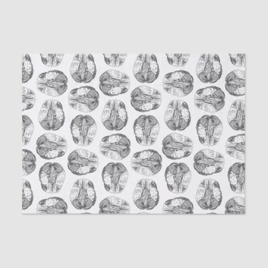 旧式な頭脳の図表のイラストレーションのヴィンテージ 薄葉紙 (正面)