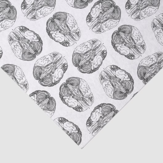 旧式な頭脳の図表のイラストレーションのヴィンテージ 薄葉紙 (詳細)