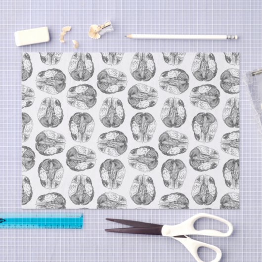 旧式な頭脳の図表のイラストレーションのヴィンテージ 薄葉紙 (クラフト)