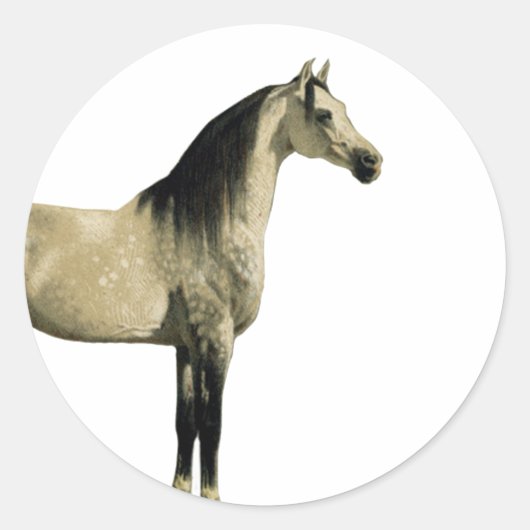 旧式な馬-アラビア人 ラウンドシール (正面)