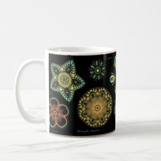 「旧式な」珪藻植物のコーヒー・マグ コーヒーマグカップ (左)