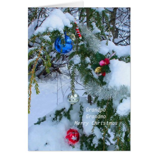 旧式のクリスマスツリー (正面)