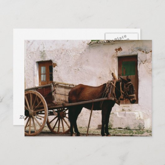 旧式の馬が引くカート ポストカード (正面/裏面)