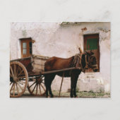 旧式の馬が引くカート ポストカード (正面)