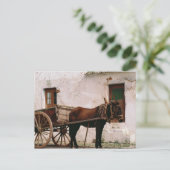 旧式の馬が引くカート ポストカード (スタンド正面)