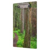 旧成長林の景勝 クリップボード (左)