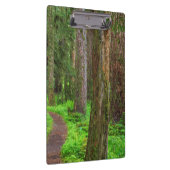 旧成長林の景勝 クリップボード (右)