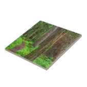 旧成長林の景勝 タイル (側面)