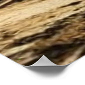 旧放棄19世紀の町メイン通り ポスター (角)