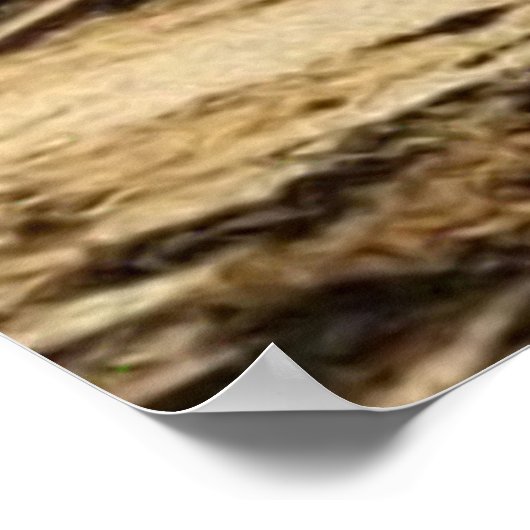 旧放棄19世紀の町メイン通り ポスター (角)