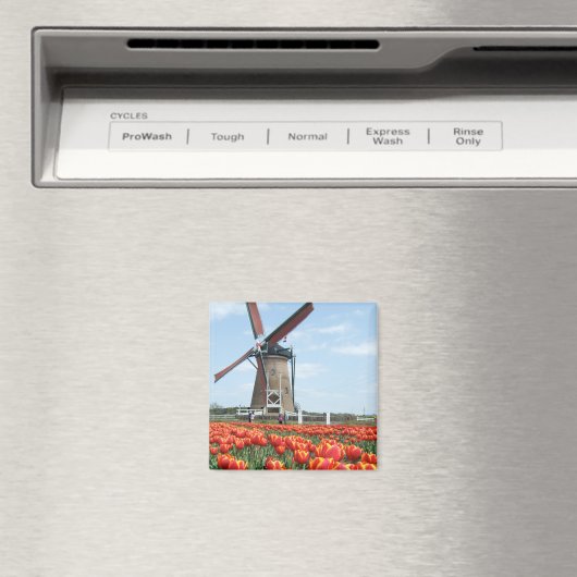 旧日本風車 マグネット (インサイチュ (食洗機))