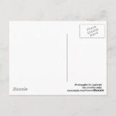 旧校舎はがき ポストカード (裏面)