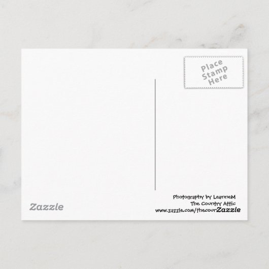 旧校舎はがき ポストカード (裏面)