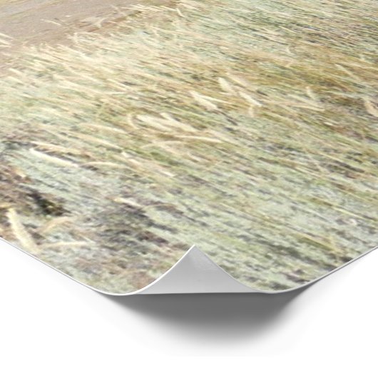 旧極西 ポスター (角)