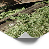 旧狭軌蒸気機関 ポスター (角)