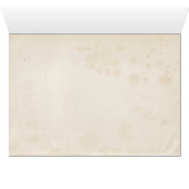 旧米国国旗の愛国心または軍隊 (内部横(下))