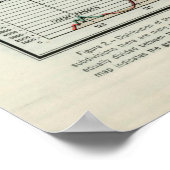 旧米国自然植生マップ（1923年） ポスター (角)