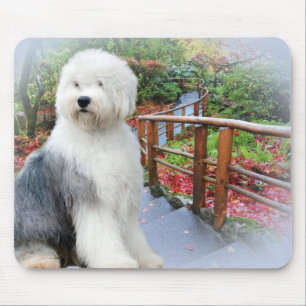 旧英牧羊犬春の日 マウスパッド