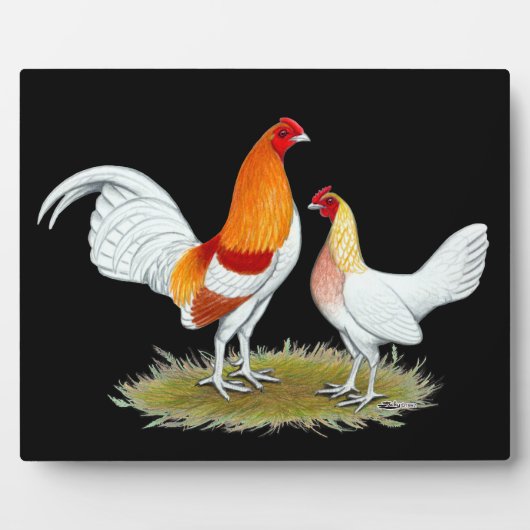 旧英語ゲームバンタム：レッドピール フォトプラーク (正面)