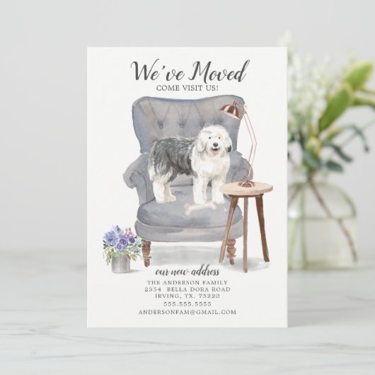 旧英語シェプドッグの動く発表 案内状 (スタンド正面)