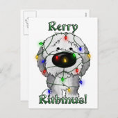 旧英語シェプドッグ – クリスマスライト シーズンポストカード (正面/裏面)