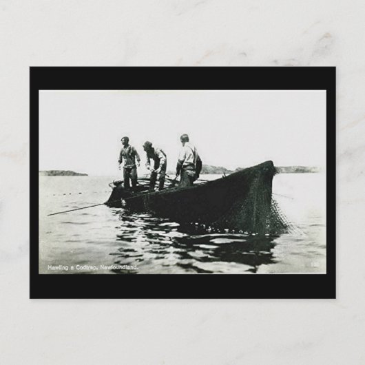 旧葉書 – ニューファンドランド，タラ魚釣り ポストカード (正面)