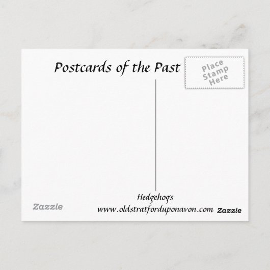 旧葉書 – Hedgehogs ポストカード (裏面)