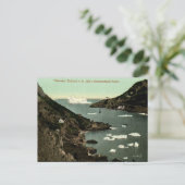 旧葉書 – St John's, Newfoundland ポストカード (スタンド正面)