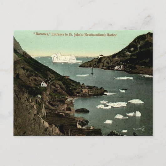 旧葉書 – St John's, Newfoundland ポストカード (正面)