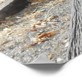 旧西パイオニアワゴン ポスター (角)