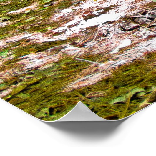 旧車 ポスター (角)