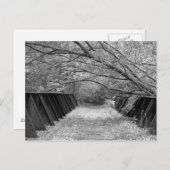 旧鉄道橋 ポストカード (正面/裏面)