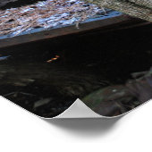 旧難破局ワゴン ポスター (角)