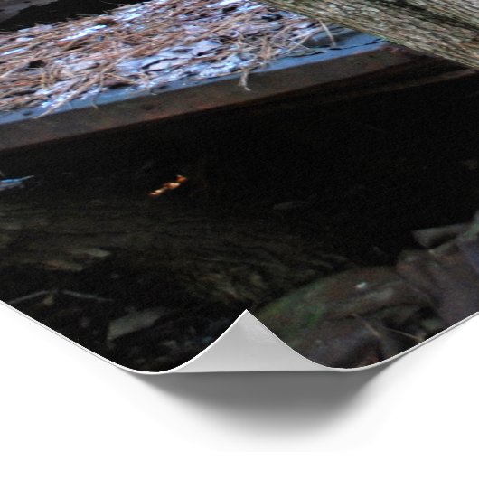 旧難破局ワゴン ポスター (角)