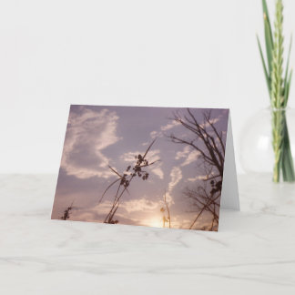早い夕べの種 カード